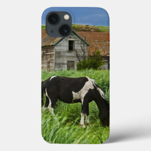 Coques Pour iPhone Chevaux dans un champ dans la Palouse 2