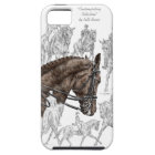 Chevaux de contrainte collectés FEI