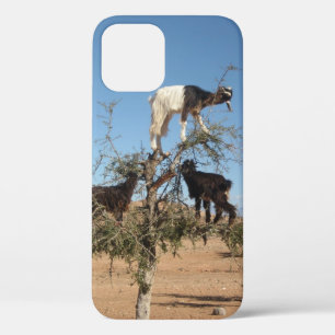 Case-Mate iPhone Case Chèvres amusantes dans un arbre Coque-coque iphone
