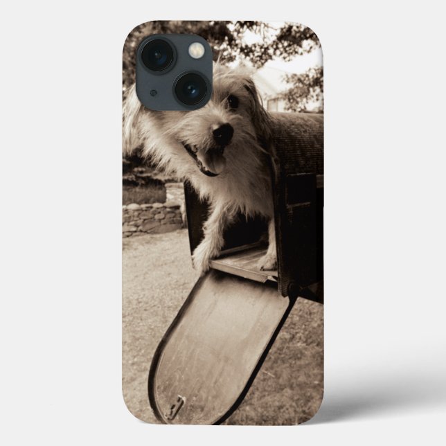 Coques Case-Mate iPhone Chien à l'intérieur d'une boîte aux lettres (Verso)