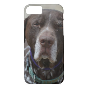Coques Pour iPhone Chien allemand d'indicateur aux cheveux courts