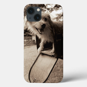 iPhone 13 Case Chien dans une boîte aux lettres