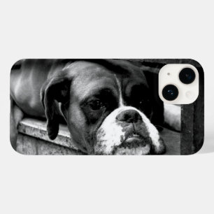 Coque Pour iPhone 14 Chien de boîte sur l'iphcna de fenêtre