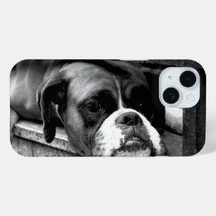 Coque Pour iPhone 15 Chien de boîte sur l'iphm de fenêtre