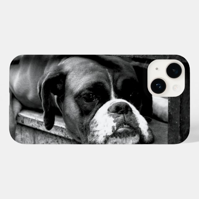 Coques Case-Mate iPhone Chien de boîte sur Windows iphcnm (Verso (horizontal))