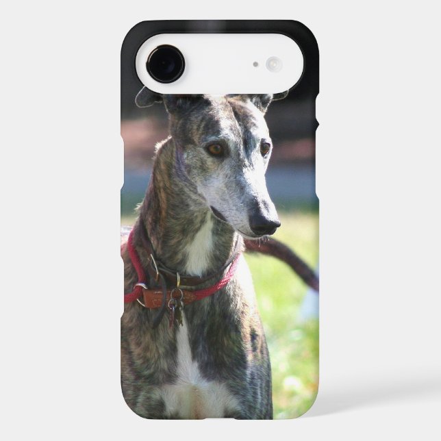 Coques Case-Mate iPhone Chien de lévrier (Verso)