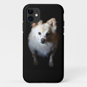 Coque Case-Mate Pour iPhone Chien de Poméranie en noir