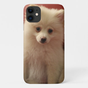 Case-Mate iPhone Case Chien de Poméranie mignon