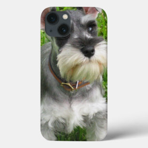 Etui iPhone 13 Chien de Schnauzer