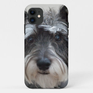 Etui iPhone Case-Mate Chien de Schnauzer