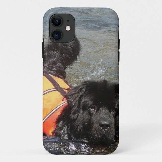 Coques Case-Mate iPhone Chien de Terre-Neuve (Dos)