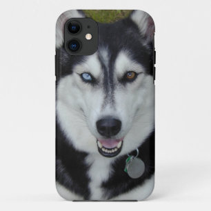 Coque iPhone 11 Chien de traîneau sibérien de couverture d'IPhone