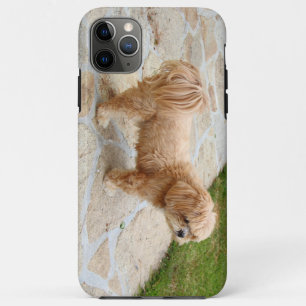 Case-Mate iPhone Case Chien Lhasa Apso dans un jardin