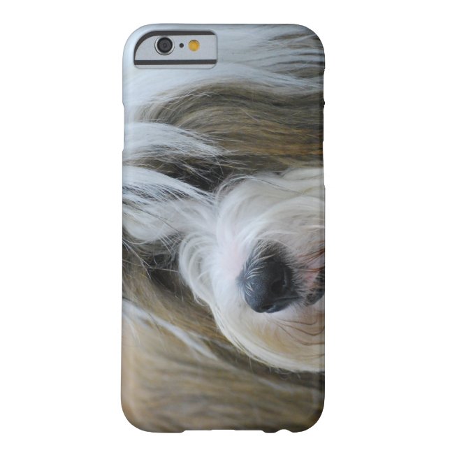 Coques Case-Mate iPhone Chien mignon de Terrier tibétain (Dos)