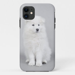 Etui iPhone Case-Mate Chien Samoyé