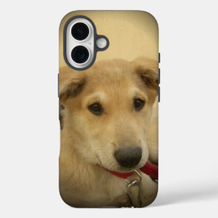 Coques iPhone 16 Chiens mignons et Chiens de marionnettes Mans deux