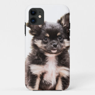 Case-Mate iPhone Case Chihuahua Chien chiot