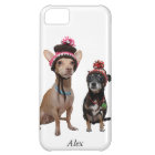 Chihuahua chiens en casquettes d'hiver avec pom-po