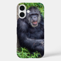 Chimpanzé En Plante Vert