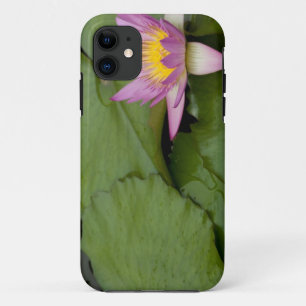 Etui iPhone Case-Mate Chine, Hong Kong, Nouveaux Territoires. Chi Lin