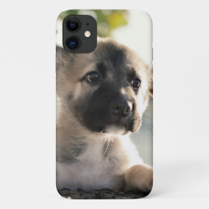 Case-Mate iPhone Case Chiot allemand sur la corniche