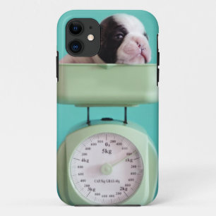 Etui iPhone Case-Mate Chiot de bouledogue français