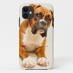Coques Pour iPhone Chiot de boxeur sur le contexte crème en ivoire
