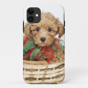 Coque Case-Mate Pour iPhone Chiot de caniche se reposant dans le panier de