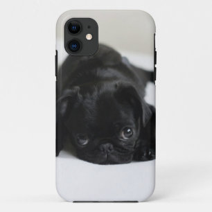 Coque Case-Mate Pour iPhone Chiot de Carlin noir