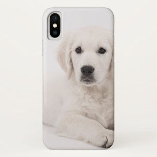 Coque iPhone X Chiot de golden retriever