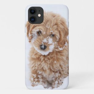 Case-Mate iPhone Case Chiot De Goldendoodle Avec La Neige À La Face