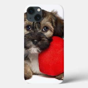 iPhone 13 Case Chiot de Valentine Havanese d'amant