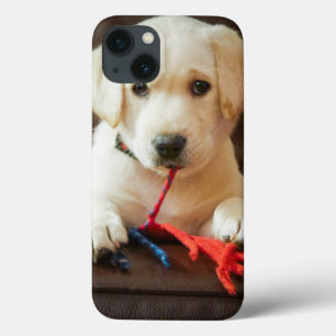 iPhone 13 Coque Chiot des images de Getty sur un sofa