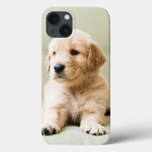 Case-Mate iPhone Case Chiot d'or sur un canapé