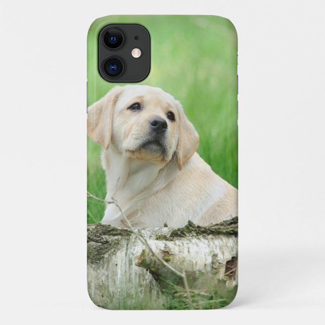 Coques Case-Mate iPhone Chiot du Labrador (Dos)