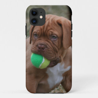 Coques Pour iPhone Chiot français de mastiff