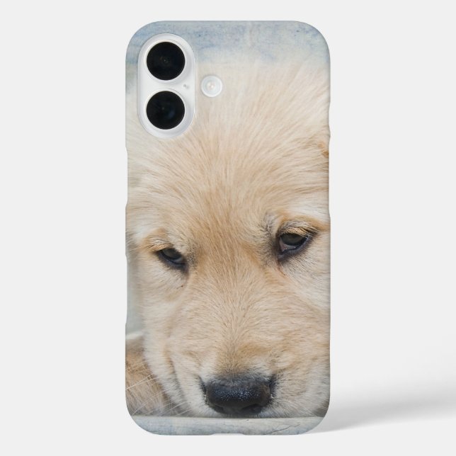 Coques Case-Mate iPhone Chiot Golden Retriever (Verso)