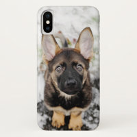 Chiot mignon recherchant