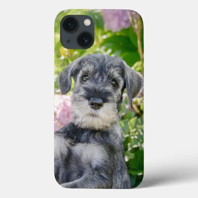Coques Case-Mate iPhone Chiot Schnauzer standard dans un jardin fleuri -  (Verso)