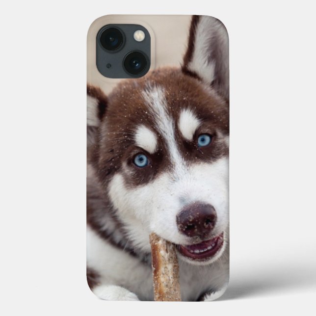 Coques Case-Mate iPhone Chiot sibérien Husky à la plage (Verso)