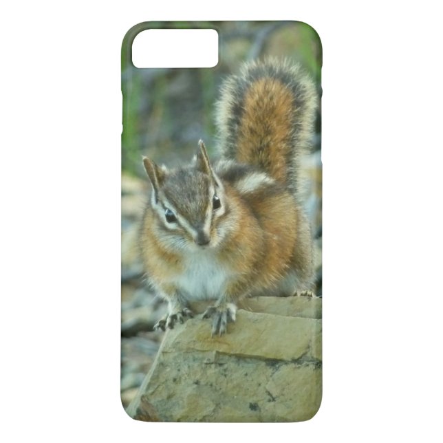 Coques Case-Mate iPhone Chipmunk dans le parc national des Glaciers (Dos)