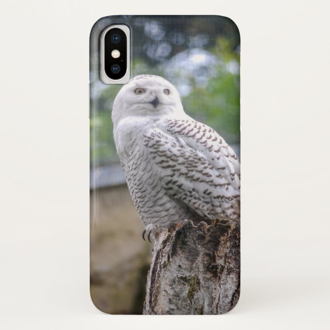Coques Case-Mate iPhone Chouette à neige (Dos)