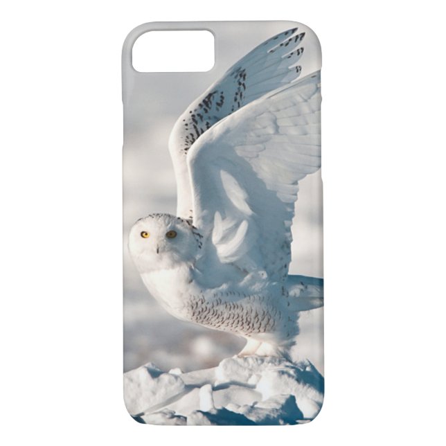 Coques Case-Mate iPhone Chouette des neiges décolle de la neige (Dos)