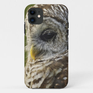 Coque Case-Mate Pour iPhone Chouette rayée, Strix varia, Michigan