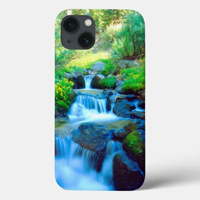 Coques Case-Mate iPhone Ciel Meadows dans les montagnes de la Sierra Nevad (Verso)