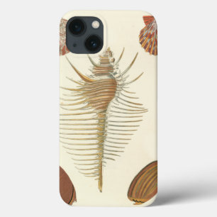 Coques Pour iPhone Cinq d'un coquillage