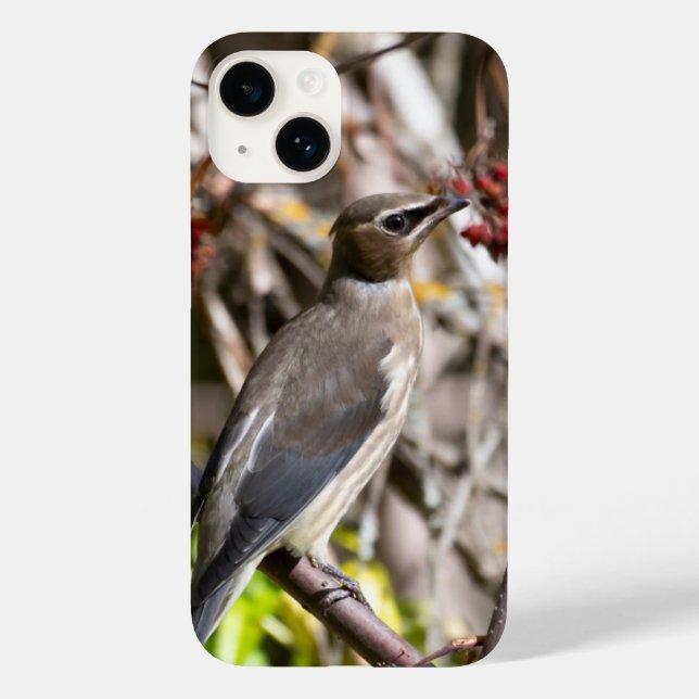 Coques Case-Mate iPhone Cire-vent de Bohême, photographie aérienne canadie (Verso)