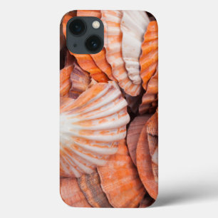 Case-Mate iPhone Case Clés de Floride, Key West, coquillages