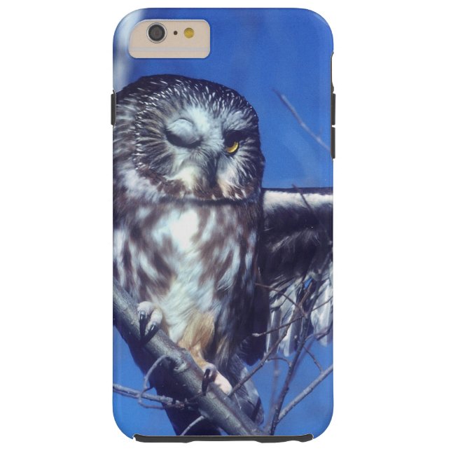 Coques Case-Mate iPhone Cligner de l'oeil le hibou (Dos)