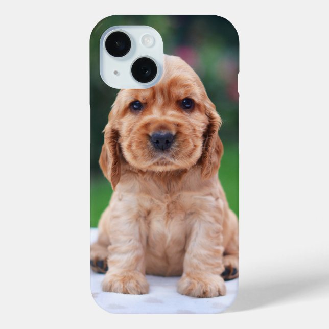 Coques Case-Mate iPhone Coker Spaniel (Verso)